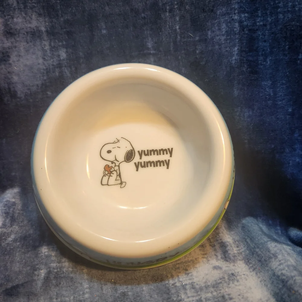 Blue and Green Dog Bowl